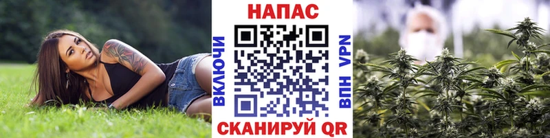 Продажа наркотиков Пучеж Cocaine  Alpha-PVP  Марихуана 