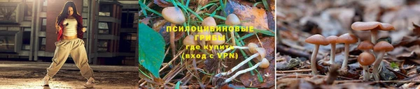 кокаин перу Арсеньев