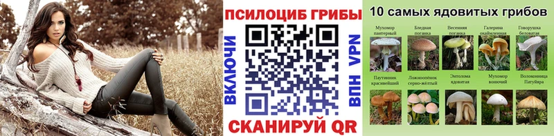 наркошоп  Пучеж  hydra зеркало  Галлюциногенные грибы GOLDEN TEACHER 
